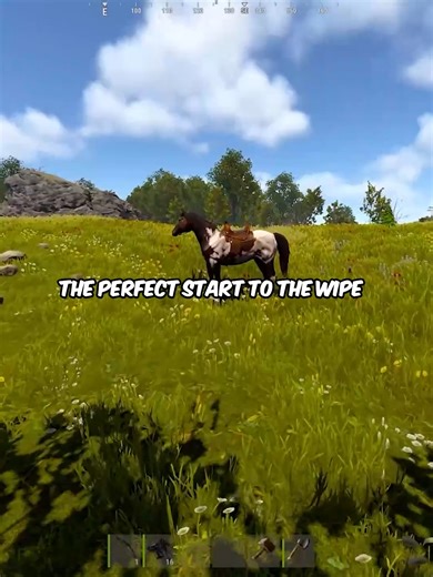 Perfect Start to the Wipe in Rust: Strategies and Tips