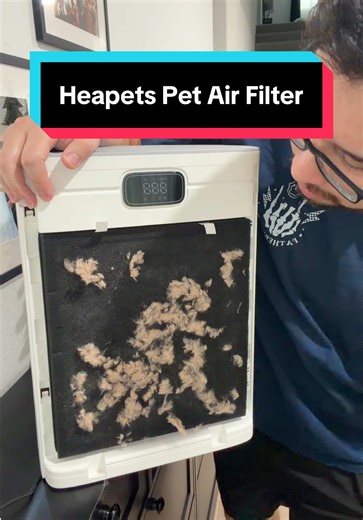 Heapets Pet Air Filter Review