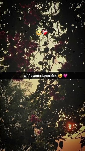 Karone Okarone | Minar Rahman | Song | Lyrics #lyricsvideo #subscribemychannel 🎧❤️