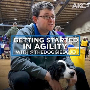 37K views · 228 reactions | Inspired by viral videos of handlers and dogs competing in Agility? Texas-based dog trainer Trevor Smith breaks down the best ways to get started! | American Kennel Club | Facebook