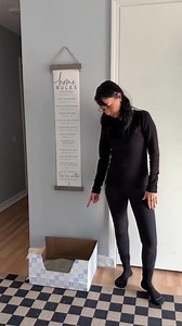 Say goodbye to the litter box as you know it. Kitty Poo Club is the purrfect monthly all-in-one litter box solution. | Kitty Poo Club