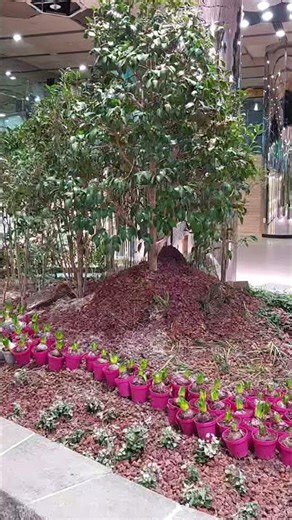 서울 종각역 태양의 정원 2