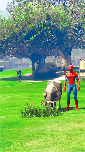 18K views · 686 reactions | GTA V : SPIDER MAN AND VENOM RACE  #reelschallenge #videogames #gtav #gameday #facebook #experiment #gta #videoviral #videos #shorts | vishvas club | Facebook