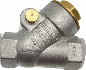 [Hot Item] High Quality Stainless Steel Swing Non Return Gas Valve Dhx-15 NPT1/2