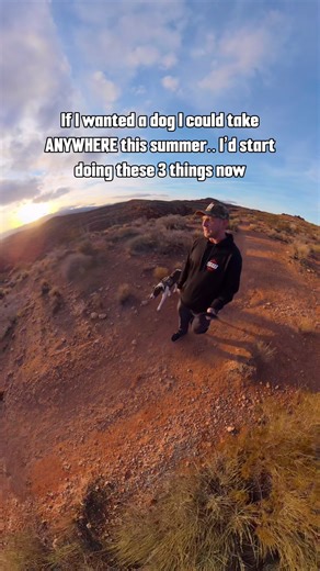 Essential Dog Training Tips for Adventure-Ready Pets