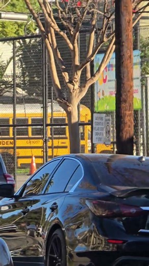 First Student School Bus Thomas