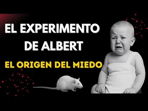 The Little Albert Experiment 🧸 How fears are learned