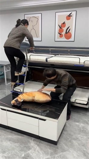 part765#This Genius Bed Design Will Blow Your Mind😱🛏️ #Shorts