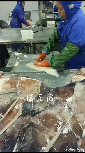 Squid skinning machine #seafoodprocessing #fillet #fishprocessing #fish