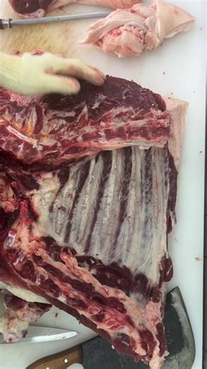 五一正常上班#土猪肉前腿分割#放心肉真材实料 #新鲜食材看得见的品质