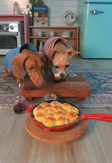 Ced's Hilarious Pet Moments and Food Adventures