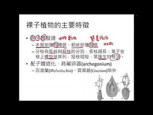 Plant Morphology Gymnosperm 8