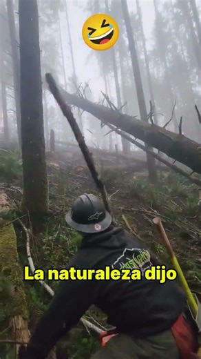 El Árbol se Vengó del Leñador y lo Mandó a Volar como en una Caricatura