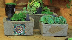1.6K views · 96 reactions | For the many people who have been asking, here's how to make your own creative and functional hypertufa pot using a mix of 1 part concrete, 1 part vermiculite and 1 part peat. #hypertufapot #homediy #homemade #concretepots #makeyourown #howto #diy #gardenpots | The Gardener Magazine | Facebook