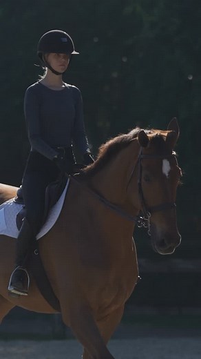 Week 5️⃣ with the GOAT | Beacon Hill Show Stables