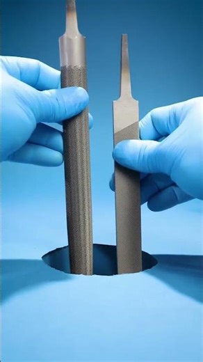 What Happens Inside Your Skin After a Bee Sting? (Microscopic) |#bee #biology #didyouknow