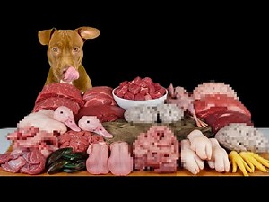 Best Dog ASMR Mukbang Compilation | Satisfying Sounds