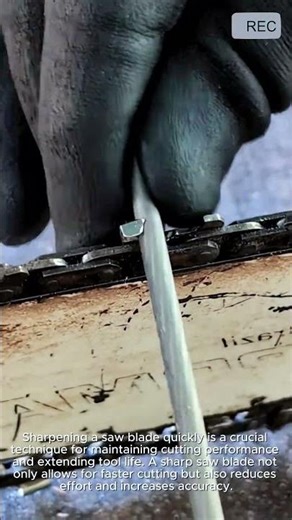 Fast saw sharpening method sharp easy