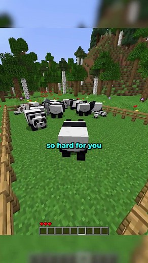 Unique Baby Panda Sneeze Moments in Minecraft