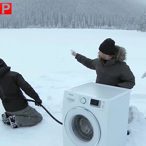 1.2M views · 7.1K reactions | Bear Does Laundry: https://www.youtube.com/watch?v=DT4ikdAS-P0 | Veterinaria | Facebook