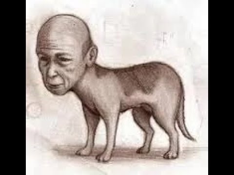 Jinmenken: The Haunting Human-Faced Dog of Japan