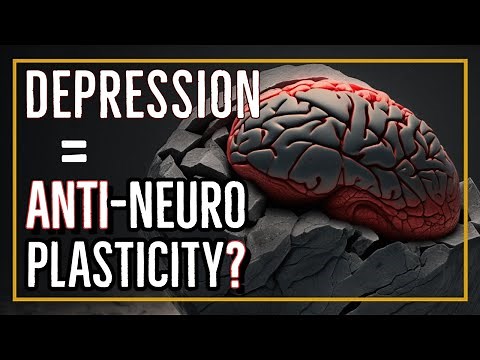 The Misery of a Rigid Brain: How Neuroplasticity Deficits Contribute to Depression