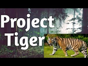 Project Tiger || Save Tiger
