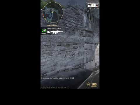 Counter Strike FR (Portrait)