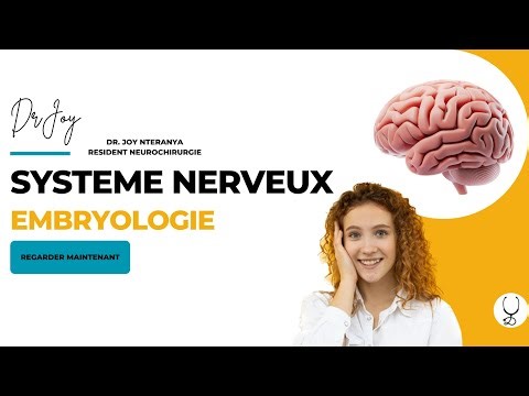 Embryologie du système nerveux en 5min