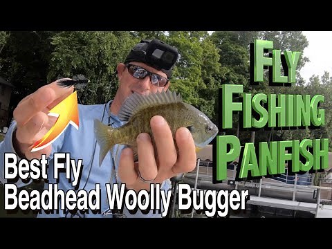 How to Fly Fish for Panfish | Best Bluegill Fly: Beadhead Woolly Bugger | Tips & Techniques