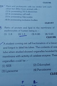A student coming out of cell fractionation of a tissue forgot t... | Filo