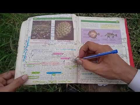 class 12 Biology Chapter 15 Homeostasis important short and long Questions||