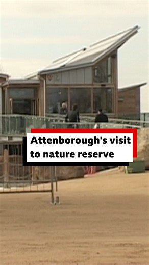 It's been 20 years since the visitor centre at Attenborough Nature Reserve was opened by none other than Sir David Attenborough ❤️ The naturalist and broadcaster, whose family originally come from the area, once describe the Nottinghamshire site as a "lifeline to the natural world". | BBC Nottingham