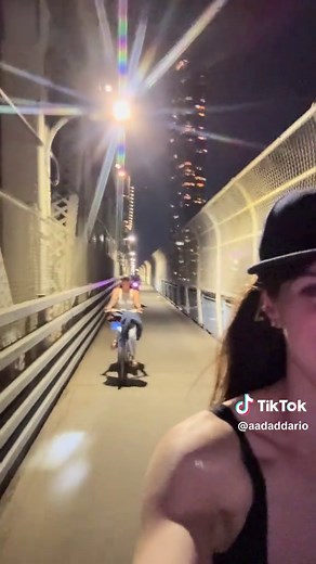 Alexandra Daddario New York Knicks Fan — White Collar to NYC Moments