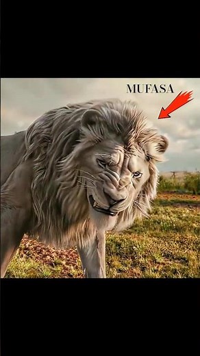 Mufasa The Lion King - Circle Of Life #mufasathelionking #thelionking #lionking #usa