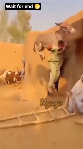 A man has been haunted when he pick a donkey 🐴 😁#funny #memeclip #jokes #hunting #funnyideas #viral