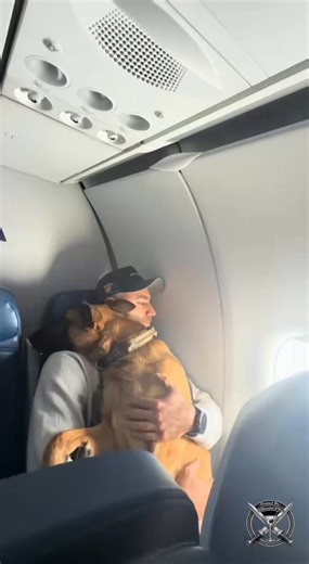 Traveling with a service dog is very different from traveling with a pet. He's a working boy and he's committed to his job until you say he's done and can relax.I love how he stays so alert and is ready to assist, no matter what. He really is the best boy! 🥰