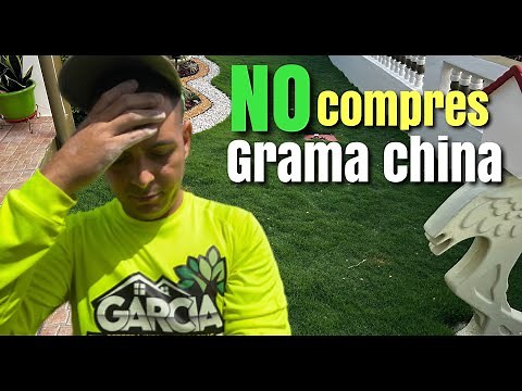 Chinese grass maintenance / advice