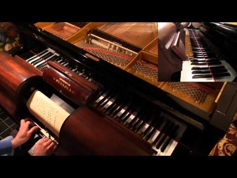 Pickles and Peppers Rag - Pianola Performance