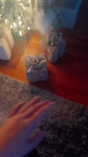 Elfs and Elf pets! (@elfs.and.elf.pets)’s videos with original sound - Elfs and Elf pets!