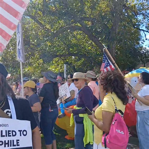 36K views · 1.4K reactions | No Kings rally, Fort Bend County, Texas. | Fort Bend Herald | Facebook