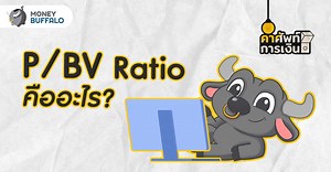 P/BV Ratio คืออะไร ? - Money Buffalo