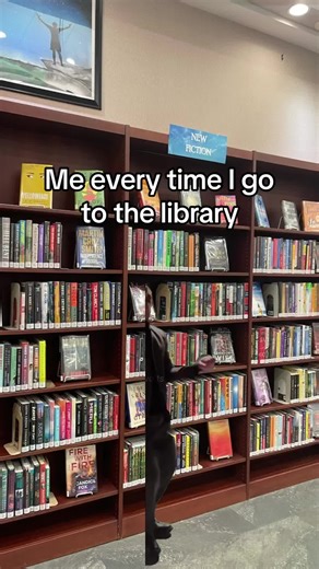 Even Pedro loves the library 😌 #capcut #nmcpls #epl #elwoodpubliclibrary #elwoodindiana #elwood #indiana #publiclibraries #librariesoftiktok #pedropascal #fyp