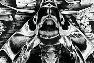 Une femme se cache dans cet incroyable tableau de Paul Roustan - Paperblog