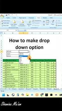 How to make drop down option