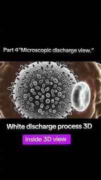 How White Discharge Starts in Females | Female Reproductive Health Explained