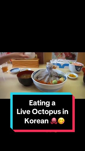 Live Octopus Eating Experience in Korea