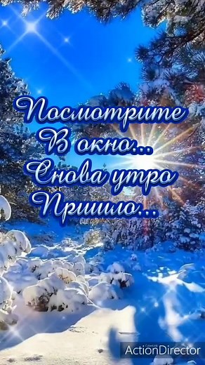 Enchanting Winter Scenes: Snow-Covered Forest Wonders