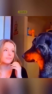 2.1M views · 10K reactions | funny dogs 藍 #funnydogs #dogsoftiktok #dogsofinstagram #dogs #dogsarefunny | ZoomieFun | Facebook