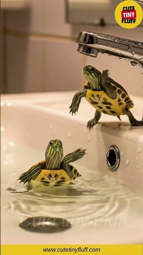 Tiny Turtle 🐢 Cutest Mini Turtle Moments Ever | Adorable Baby Animal Video | cute tiny fluff